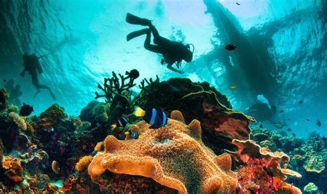 5 Unbelievable Diving Locations to Visit in your Lifetime | Be An ...