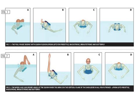 Stroke Swimming Diagram