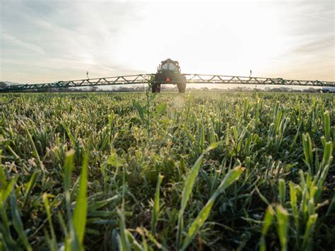 Crop Monitoring for Pests – Wadhwani Institute of Technology and Policy