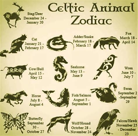 Pin by MARCELO MATSOUKAS on medieval style | Celtic zodiac, Celtic ...