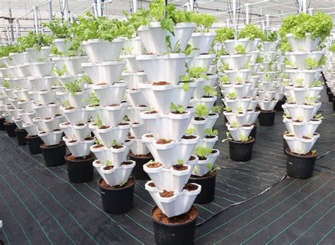 Hydroponic Farming in India | Hydroponic Vertical Farming | Higronics