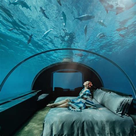 Dubai Underwater Hotel Rooms