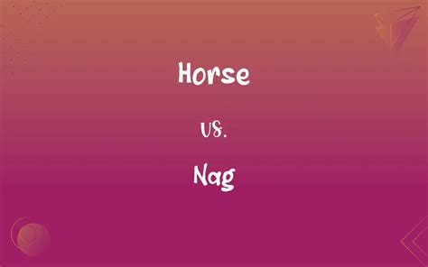 Horse vs. Nag: What’s the Difference?