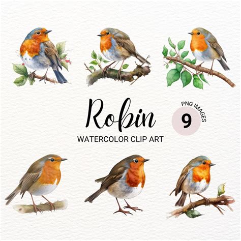 Robin Bird Clipart | Robin Bird PNG | Watercolor Bird Clipar - Inspire Uplift