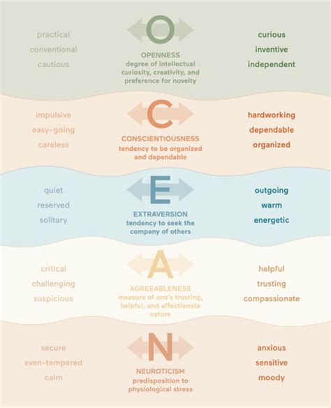 Big 5 Personality Traits: Psychology & Research Behind The Test ...