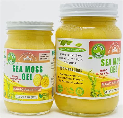 Organic Sea Moss Gel (16 OZ) Mango Pineapple Sea Moss Gel - Wildcrafted Sea Moss - Herbal ...