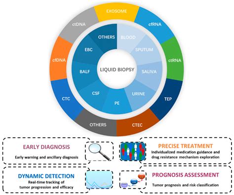 JCM | Free Full-Text | Can Liquid Biopsy Based on ctDNA/cfDNA Replace Tissue Biopsy for the ...