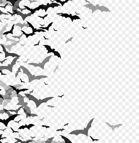 Free Vector | Black silhouette of bats isolated on transparent ...