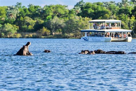 Zambezi River Sunset Cruise in Victoria Falls 2024