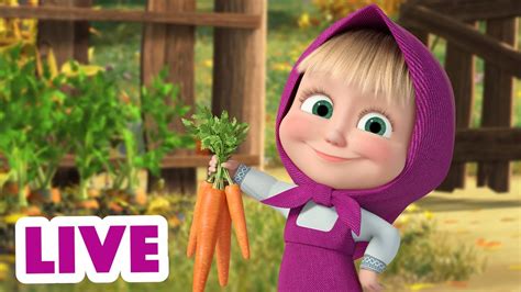 🔴 LIVE! Maşa İle Koca Ayı 🎬🐰🦔 Ne kadar çok, o kadar neşeli 🐺🐼 Masha and the Bear 👧🐻 - YouTube