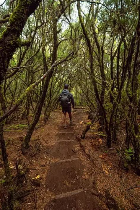 The beautiful levada do alecrim waterfall hike on madeira island – Artofit