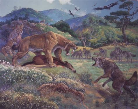 canis dirus - dirus wolf - lobo huargo | Prehistoric animals, Ancient ...