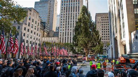 Rockefeller Center Christmas tree from Vestal, New York arrives in NYC - ABC7 New York