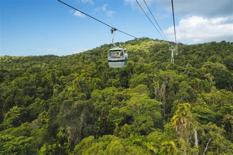 Skyrail Rainforest Cableway Audio Guides and Accessibility Information ...