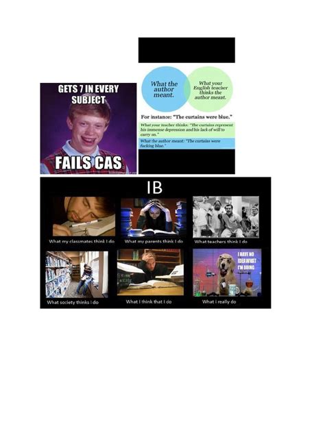 IB Memes and Jokes | PDF