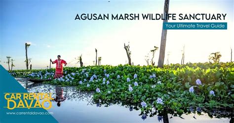 Into the Vast Wetland of Agusan Marsh Wildlife Sanctuary