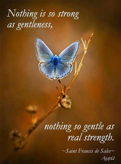 Nothing Is So strong as Gentleness, Nothing so gentle as real Strength - Quotes