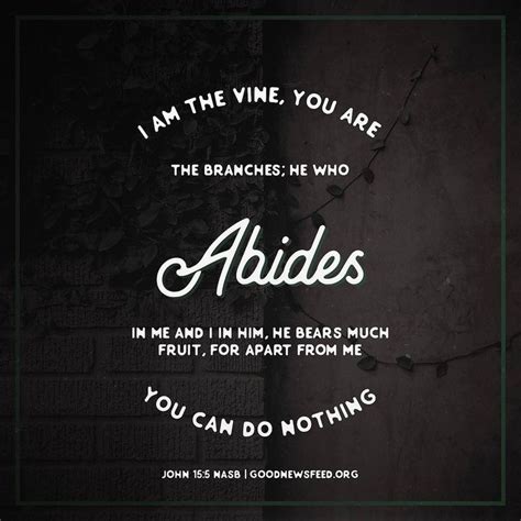 I [Jesus] am the vine you are the branches; he who abides in Me and I in him he bears much fruit ...