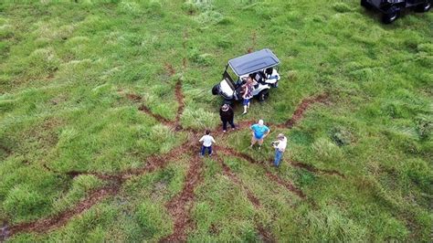 Lightning strike leaves shocking mark in Highlands County | wtsp.com