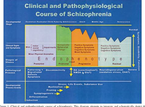 Figure 1 from The early stages of schizophrenia: speculations on pathogenesis, pathophysiology ...