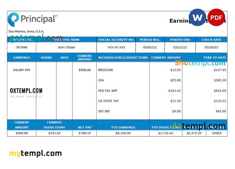 USA financial company earning statement template in Word and PDF format