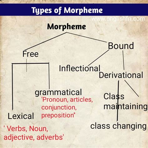 morphology definition| types | function of morpheme - English FN