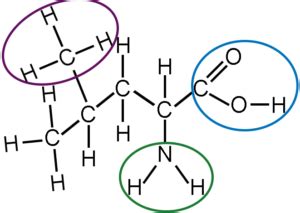 What Is A Hydroxyl Group? Properties – Education Career