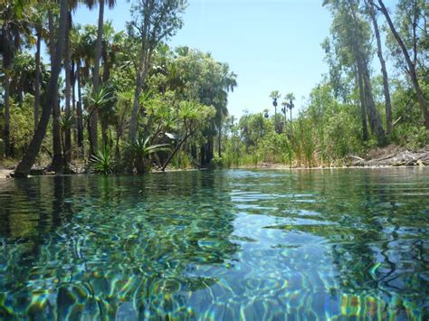 Mataranka Springs | Hot springs, Nature travel, Australia landscape