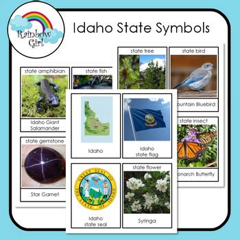 Idaho State Symbols by Rainbow Girl | TPT