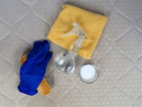 How To Get Poop Stains Out Of Mattress: Expert Advice - Anita's ...