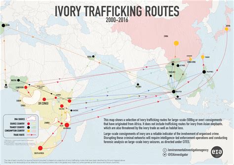 The tangled routes of global elephant ivory trafficking – EIA International