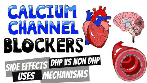 Dihydropyridine v Non Dihydropyridine Calcium Channel Blockers (CCB ...