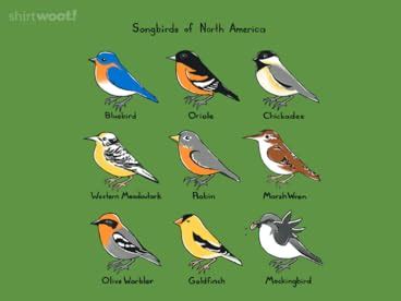 Songbirds of North America Poster