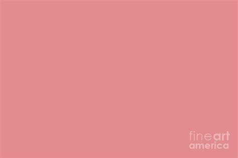 Rosy Dark Pastel Pink Peach Solid Color All Colour Single Shade Matches ...