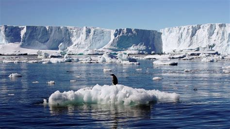 Antarctica hits record temperature of 18.3 degrees Celsius, UN confirms report - Hindustan Times