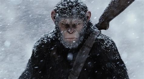 'Planet Of The Apes' Plot Description Teases Ties To Matt Reeves Trilogy