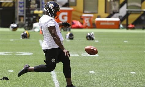 Watch Steelers punter Pressley Harvin III launch a perfect punt