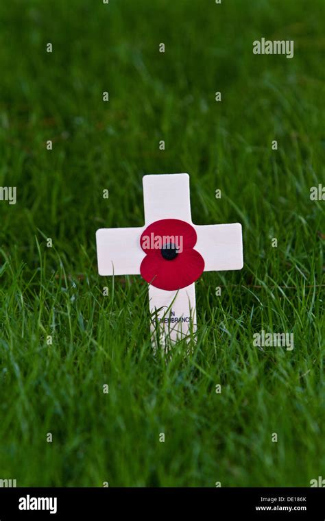 Remembrance Day poppy Stock Photo - Alamy