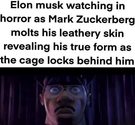 Elon will know the meaning of getting Zucc'd | Elon Musk vs. Mark Zuckerberg Fight | Know Your Meme