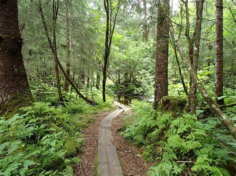 Elfin Cove and Juneau Alaska Easy Hiking Trails – Perfect Little Planet