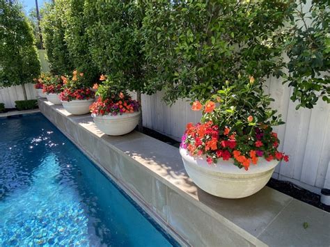 3 Ideas for Pool Landscaping in North Texas | Marlin Landscape