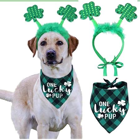 Amazon.com : St Patricks Day Dog Costume, Green Shamrock Headband and ...