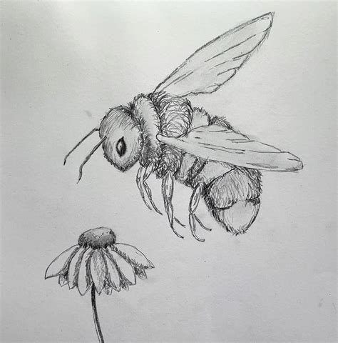 Bee drawing | ArtBase