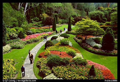 Picture/Photo: Sunken Garden. Butchart Gardens, Victoria, British ...