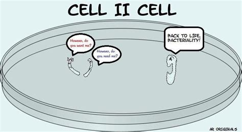 Pin by Christa Grunewald on Funny stuff here! | Biology humor, Science ...