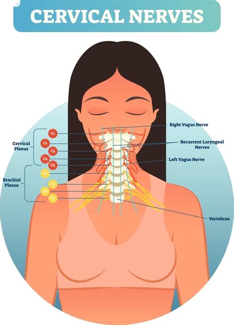 Symptoms of C1 – C7 herniation or nerve compression - Joint Rehab and Sports Medical Center