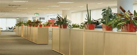 Office Plants and Plant Maintenance | Ambius US