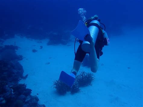 Snorkeling In Curaçao: 11 Amazing Beaches - Snorkel Things