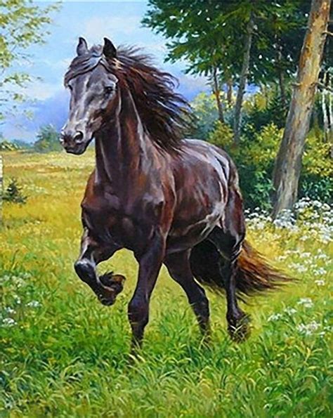 Brown Horse In Forest Paint By Numbers - Numeral Paint Kit