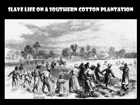 Southern Plantations & Slavery